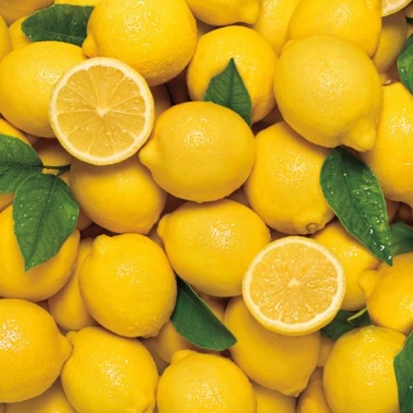 DGN tarım limon